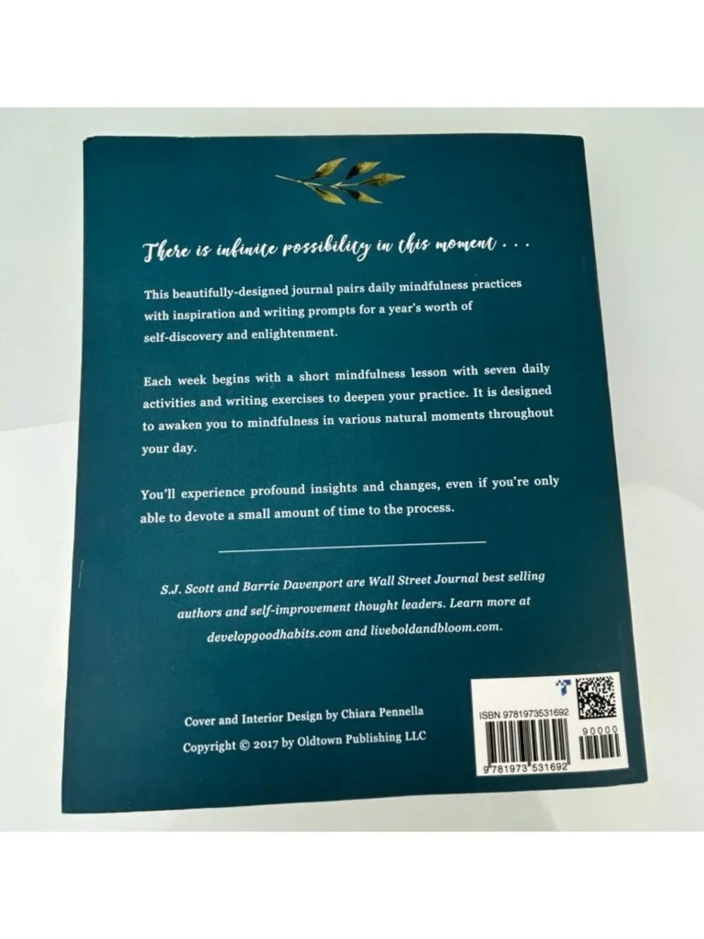 The Mindfulness Journal Paperback 52 Week Prompts Writing Scott Davenport READ